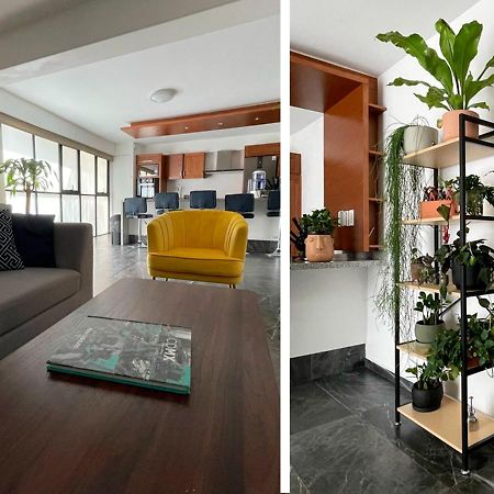 Great Apartment In The Heart Of Coyoacan เม็กซิโกซิตี้ ภายนอก รูปภาพ