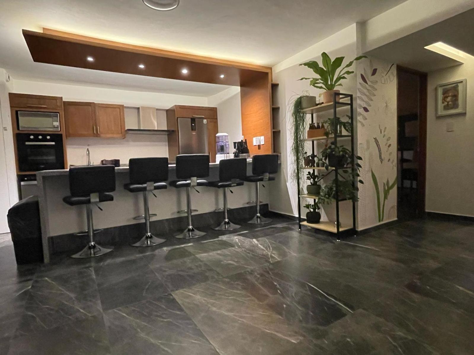 Great Apartment In The Heart Of Coyoacan เม็กซิโกซิตี้ ภายนอก รูปภาพ