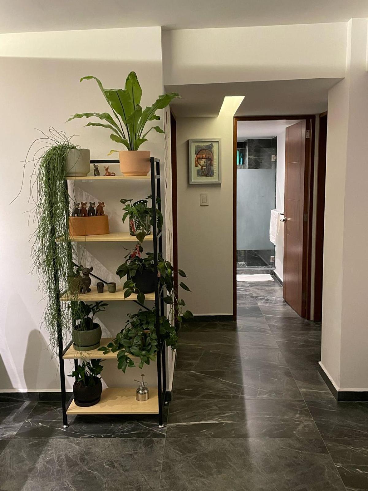 Great Apartment In The Heart Of Coyoacan เม็กซิโกซิตี้ ภายนอก รูปภาพ