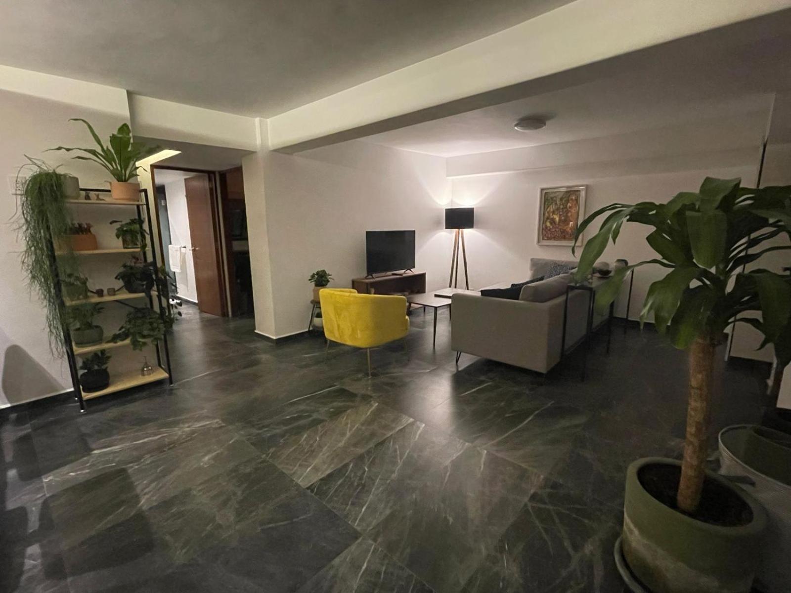 Great Apartment In The Heart Of Coyoacan เม็กซิโกซิตี้ ภายนอก รูปภาพ